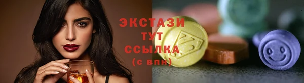 ECSTASY Армянск