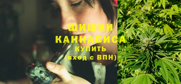 PSILOCYBIN Семёнов