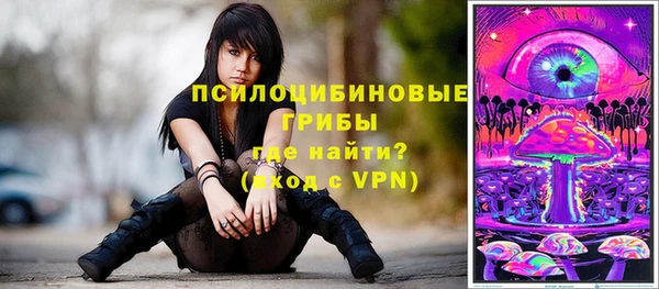 дмт Арсеньев