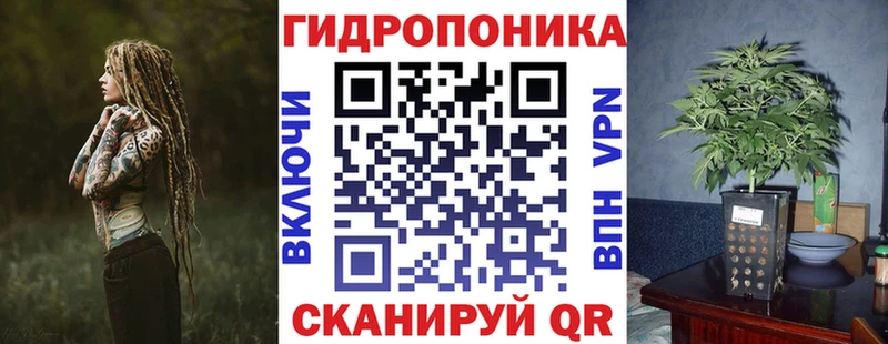 Бошки Шишки планчик Зея